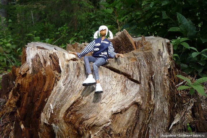 Выжить в Карелии со Скан-тур. Часть 5-я заключительная