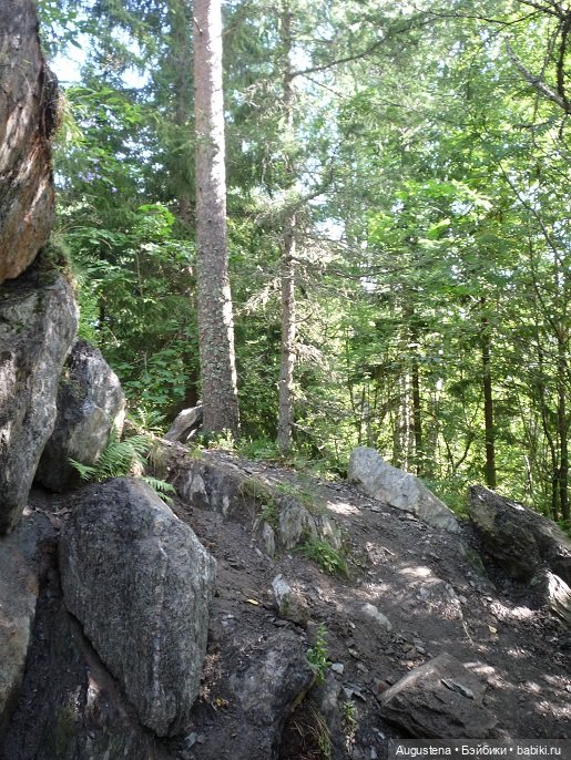 Выжить в Карелии со Скан-тур. Часть 5-я заключительная