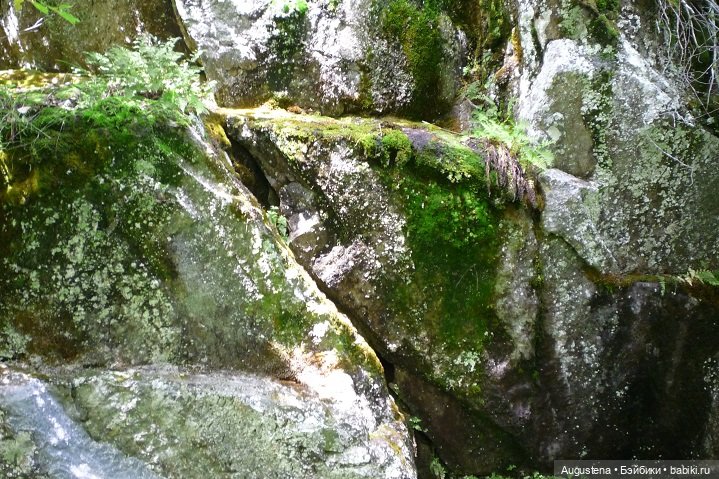 Выжить в Карелии со Скан-тур. Часть 5-я заключительная