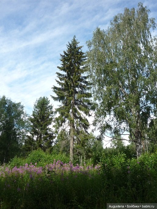 Выжить в Карелии со Скан-тур. Часть 5-я заключительная