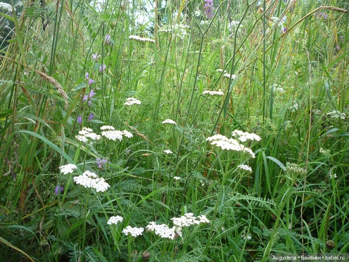 Выжить в Карелии со Скан-тур. Часть 5-я заключительная