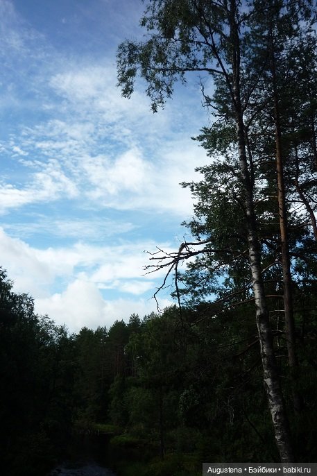 Выжить в Карелии со Скан-тур. Часть 5-я заключительная