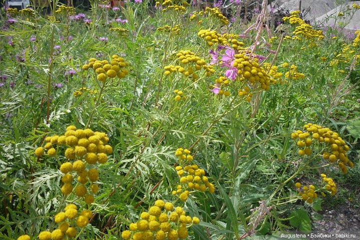 Выжить в Карелии со Скан-тур. Часть 5-я заключительная