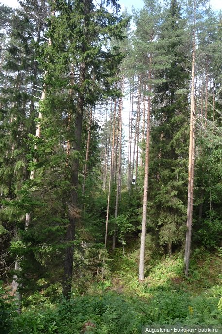 Выжить в Карелии со Скан-тур. Часть 5-я заключительная