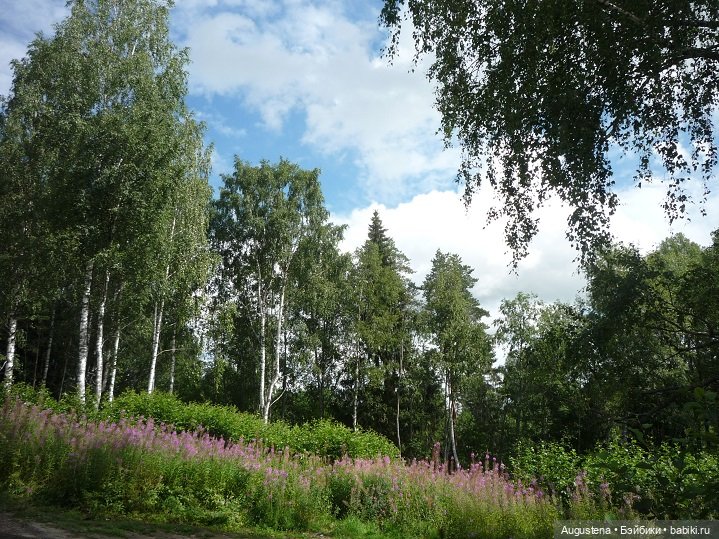 Выжить в Карелии со Скан-тур. Часть 5-я заключительная