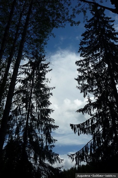 Выжить в Карелии со Скан-тур. Часть 5-я заключительная