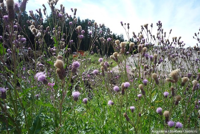 Выжить в Карелии со Скан-тур. Часть 5-я заключительная