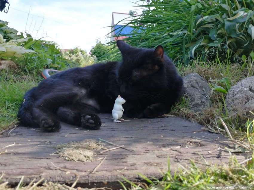 Наглость - второе счастье | Бэйбики Наглость - второе счастье (фото 5)