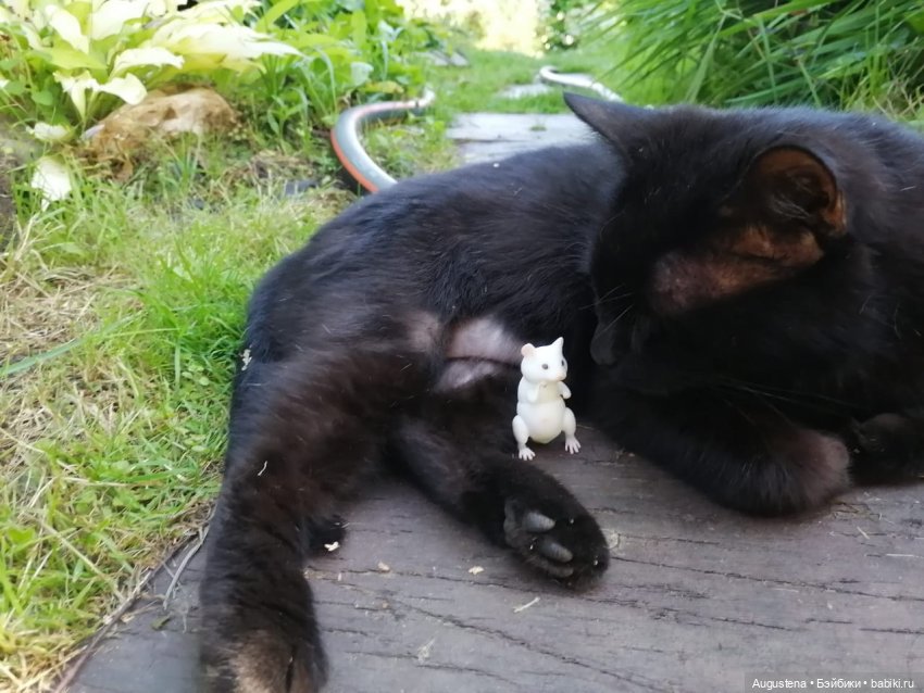 Наглость - второе счастье | Бэйбики Наглость - второе счастье (фото 6)