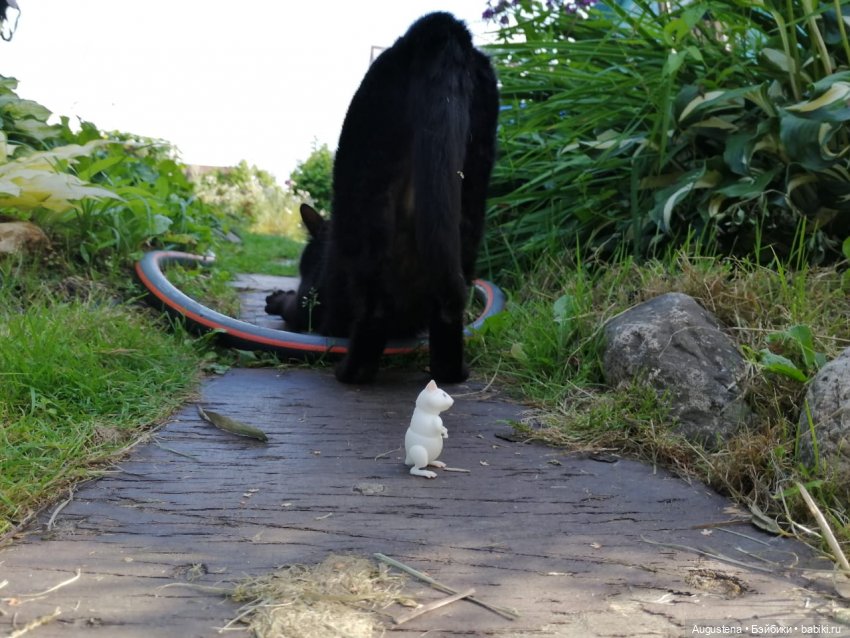 Наглость - второе счастье | Бэйбики Наглость - второе счастье (фото 8)
