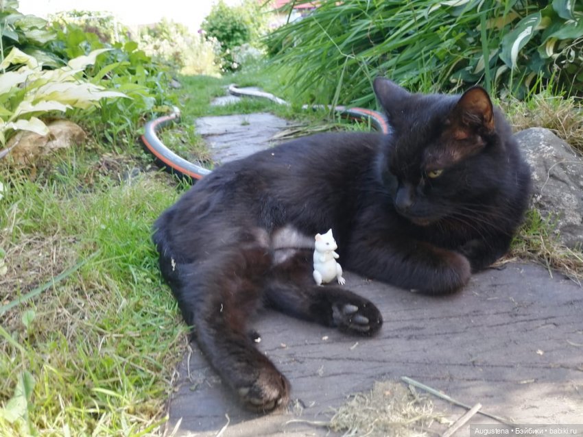 Наглость - второе счастье | Бэйбики Наглость - второе счастье (фото 4)