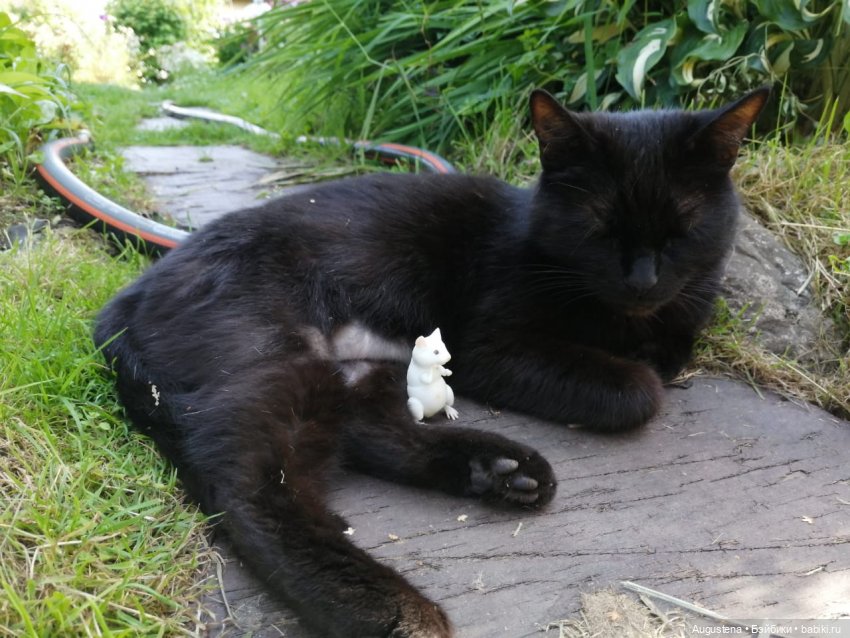 Наглость - второе счастье | Бэйбики Наглость - второе счастье (фото 2)