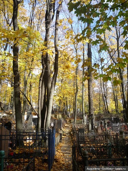 Старое немецкое кладбище — Культура