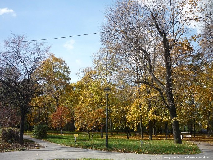 Старое немецкое кладбище — Культура