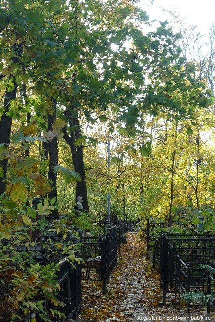 Старое немецкое кладбище — Культура