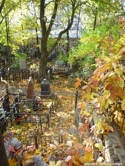 Старое немецкое кладбище — Культура (фото 3)