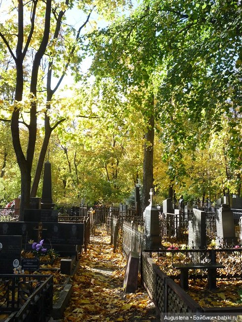 Старое немецкое кладбище — Культура