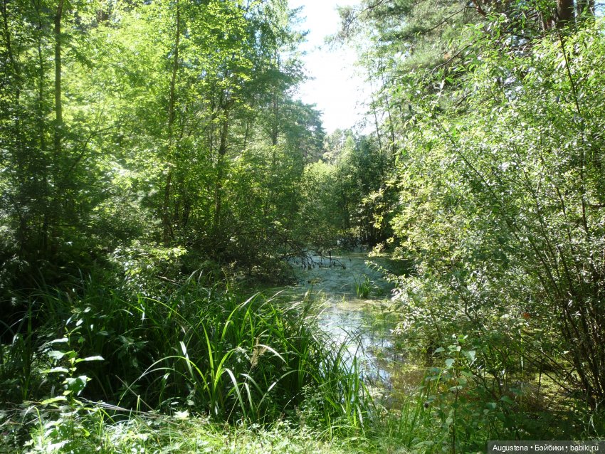 Потревоженные кости. Фрагмент 2