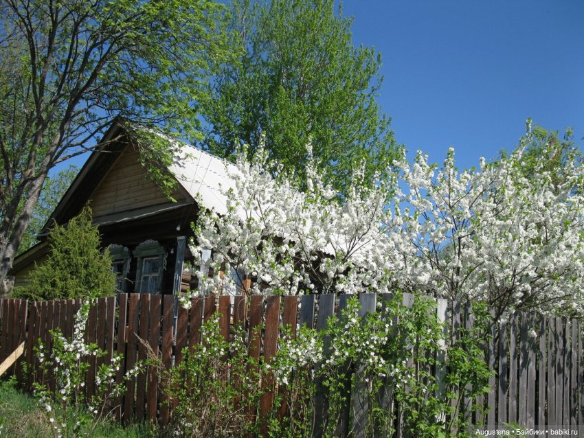 Потревоженные кости. 3 серия (фото 3)