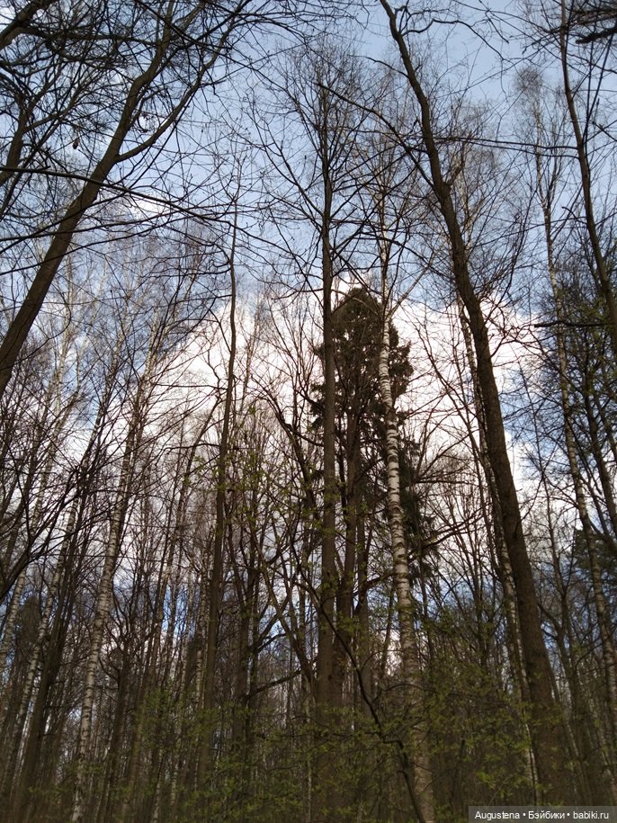 Симри — Домашние фото авторских игрушек: Тедди (фото 8)