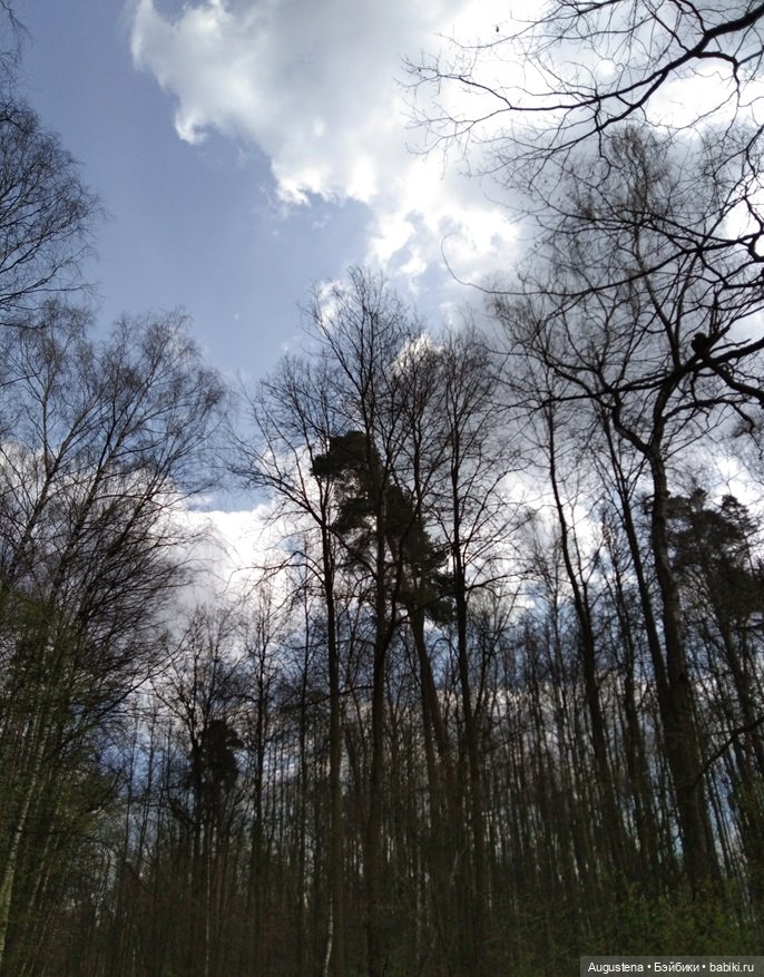 Симри — Домашние фото авторских игрушек: Тедди (фото 5)