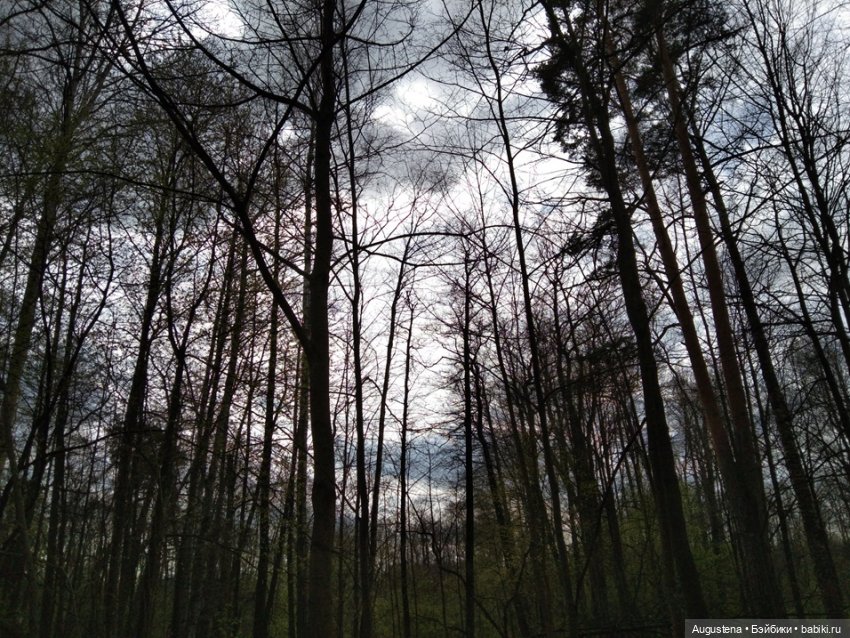 Симри — Домашние фото авторских игрушек: Тедди