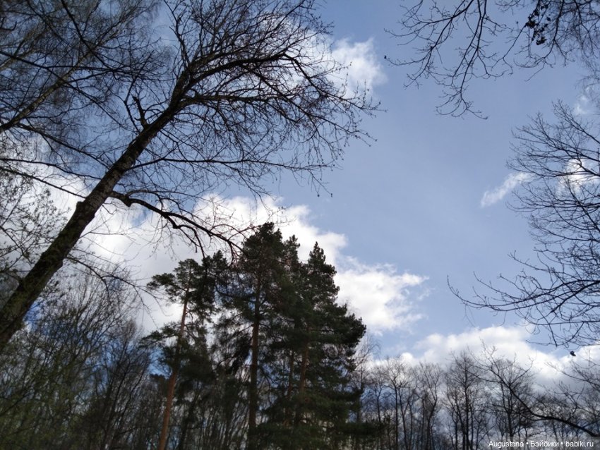 Симри — Домашние фото авторских игрушек: Тедди (фото 7)