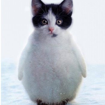 А у меня новый гибрид