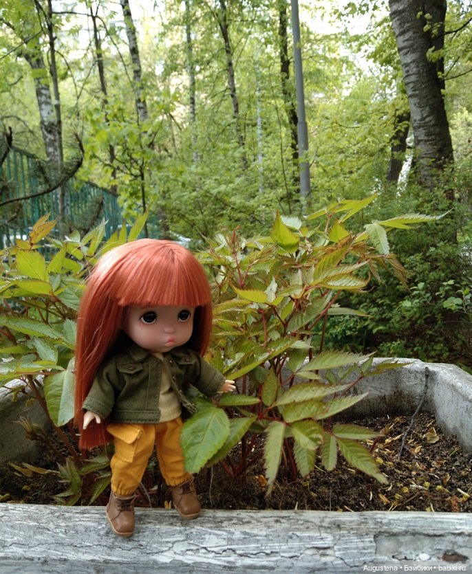 Дулька и зелёная кнопка — Разные шарнирные куклы (не БЖД): редкие (фото 2)