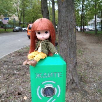 Дулька и зелёная кнопка