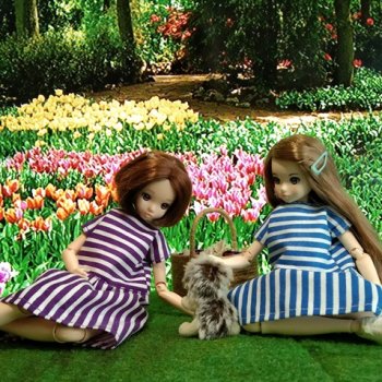 Летнее в полоску