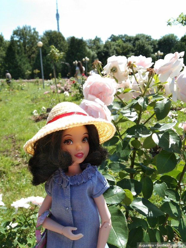 Дамы в розарии — Гибриды шарнирных кукол (не БЖД): подбор тела (фото 3)