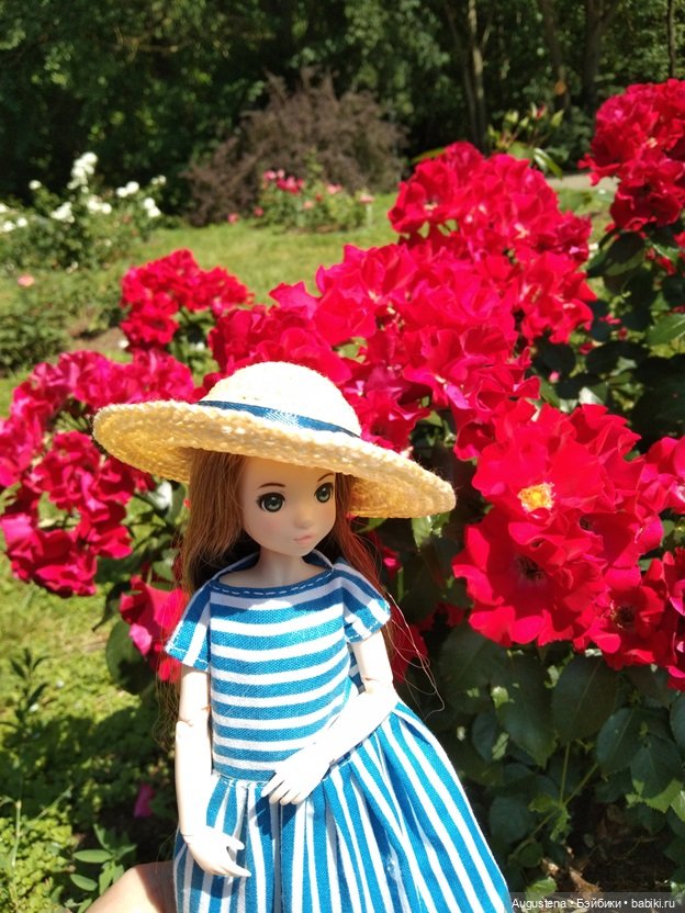 Дамы в розарии — Гибриды шарнирных кукол (не БЖД): подбор тела