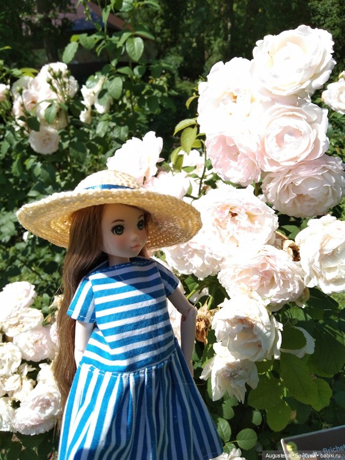 Дамы в розарии — Гибриды шарнирных кукол (не БЖД): подбор тела