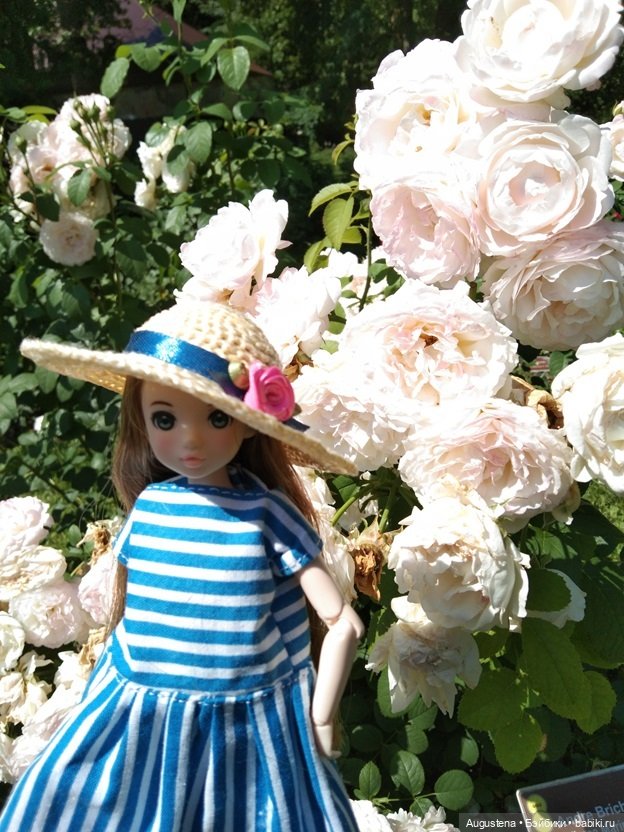 Дамы в розарии — Гибриды шарнирных кукол (не БЖД): подбор тела (фото 8)