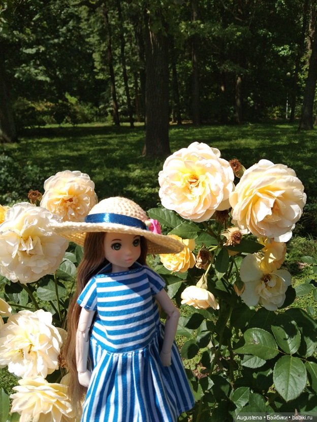 Дамы в розарии — Гибриды шарнирных кукол (не БЖД): подбор тела