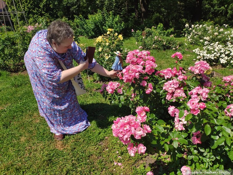 Дамы в розарии — Гибриды шарнирных кукол (не БЖД): подбор тела