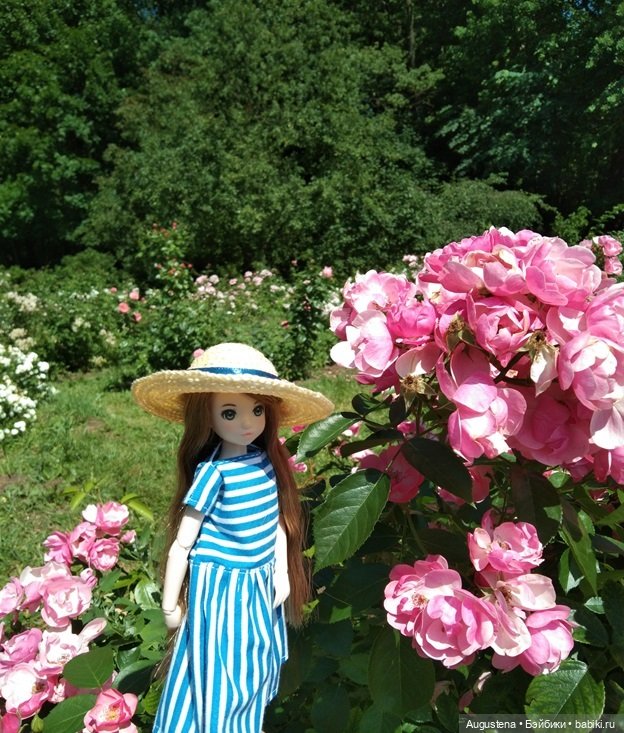 Дамы в розарии — Гибриды шарнирных кукол (не БЖД): подбор тела