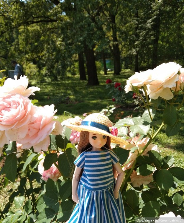 Дамы в розарии — Гибриды шарнирных кукол (не БЖД): подбор тела (фото 9)