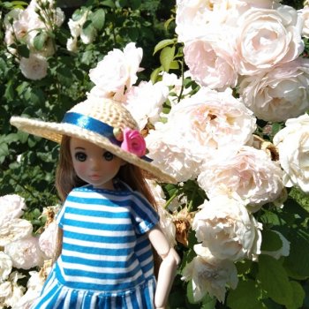 Дамы в розарии