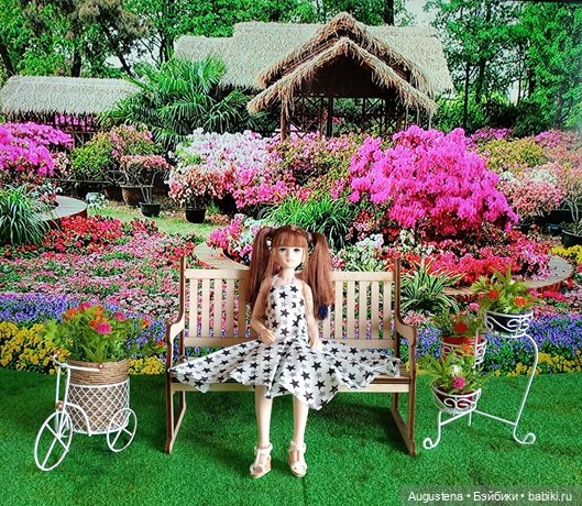 Цветы. Много. И новая куколка (фото 3)
