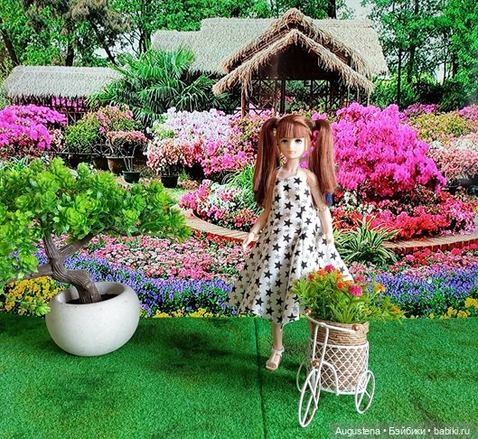 Цветы. Много. И новая куколка (фото 2)