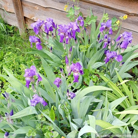 Как мы с Жигулёвскими горами хороводились. Часть 3-я (фото 9)