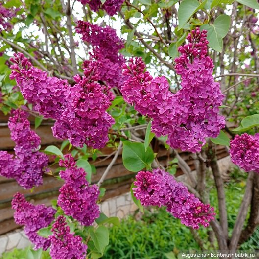 Как мы с Жигулёвскими горами хороводились. Часть 3-я