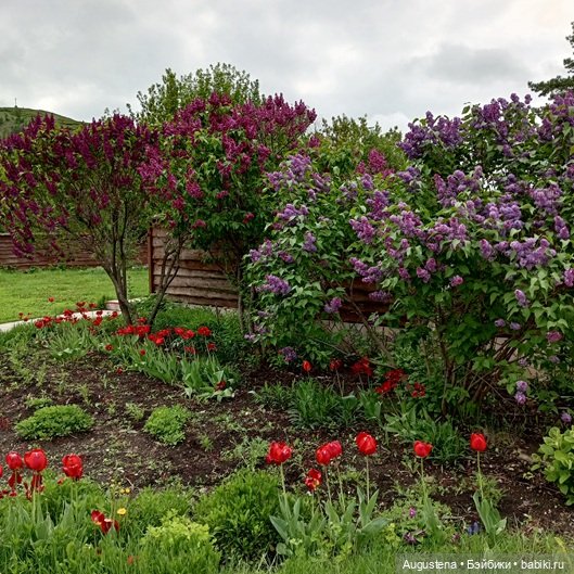 Как мы с Жигулёвскими горами хороводились. Часть 3-я (фото 3)