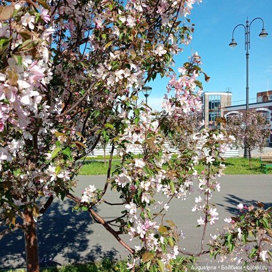 Как мы с Жигулёвскими горами хороводились. Часть 4-я (фото 4)