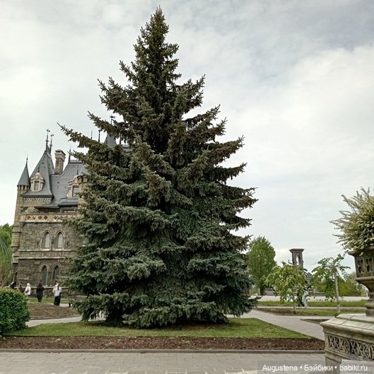 Как мы с Жигулёвскими горами хороводились. Часть 5-я