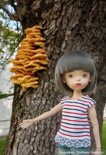 Измайловский остров 30.08.2025 | Бэйбики Измайловский остров 30.08.2025