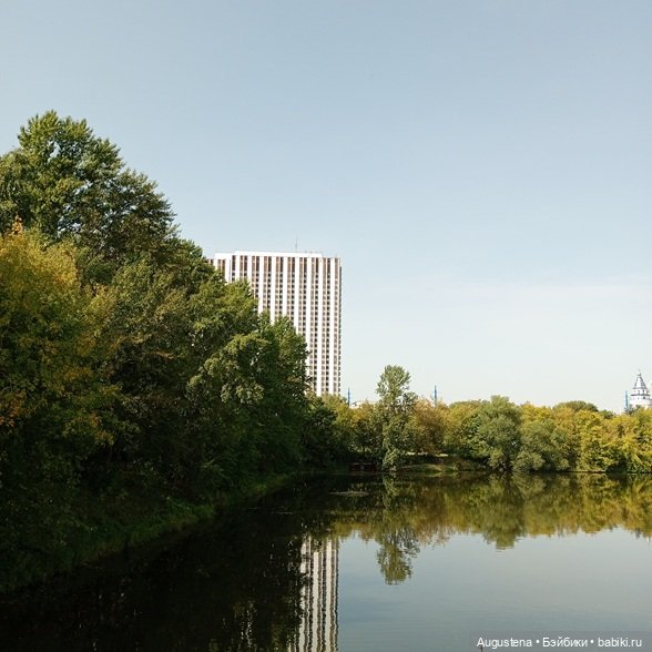 Измайловский остров 30.08.2025 | Бэйбики Измайловский остров 30.08.2025 (фото 5)