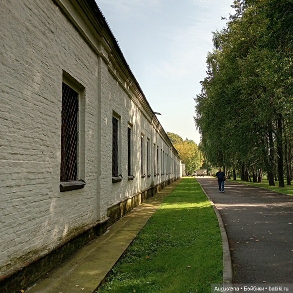 Измайловский остров 30.08.2025 | Бэйбики Измайловский остров 30.08.2025 (фото 7)